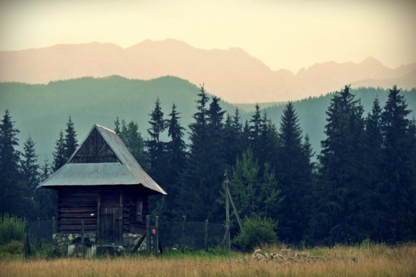 Tatry w tle