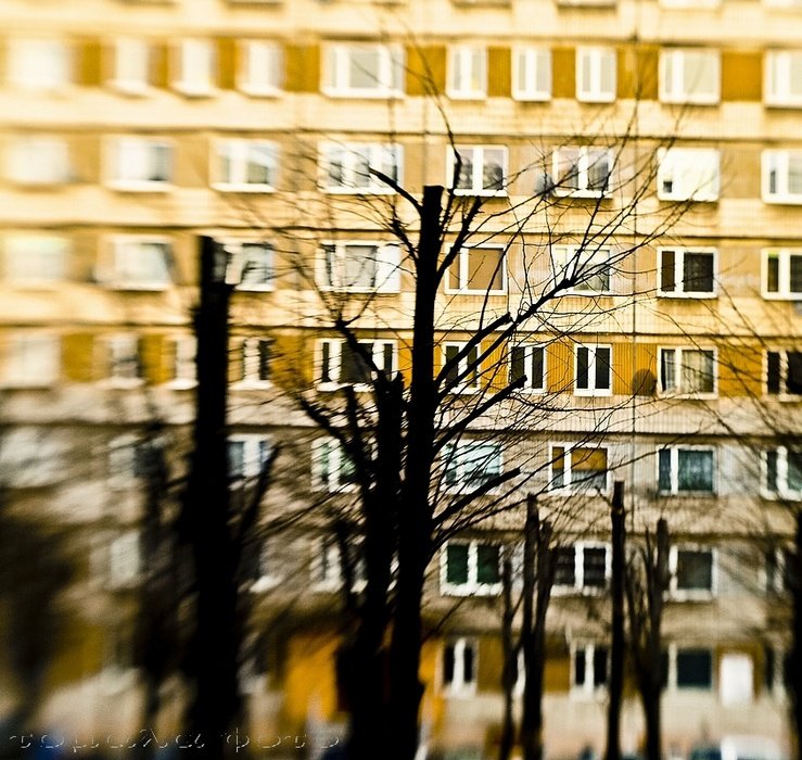 ...tu się urodziłem