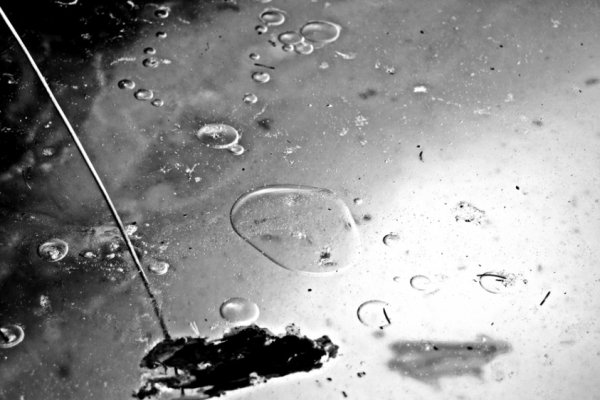 Bąbelki uwiezione pod lodem