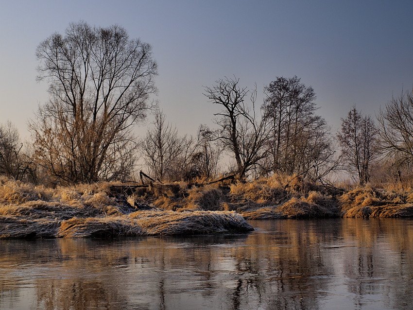 Dolina Nidy marzec 2012