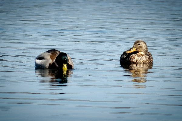 ...kochanie, nie pij tyle...