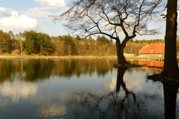 Moje"NAD NIEMNEM"...