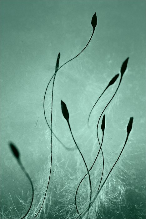 Do zobaczenia chłopaki