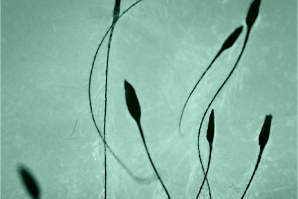 Do zobaczenia chłopaki