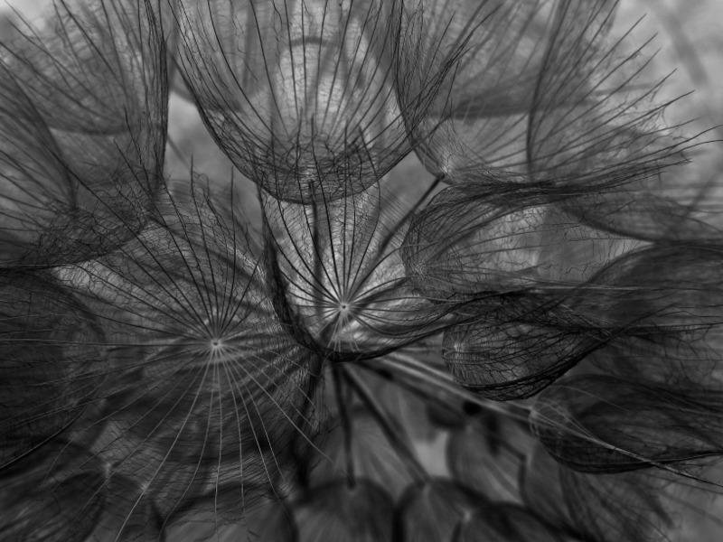 ...jak z innego wymiaru.