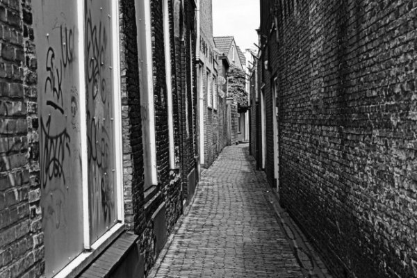 Szara rzeczywistość