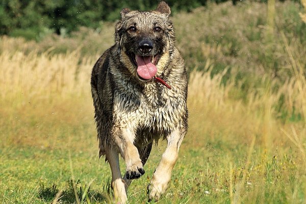 Brudna, mokra ale szczęśliwa...