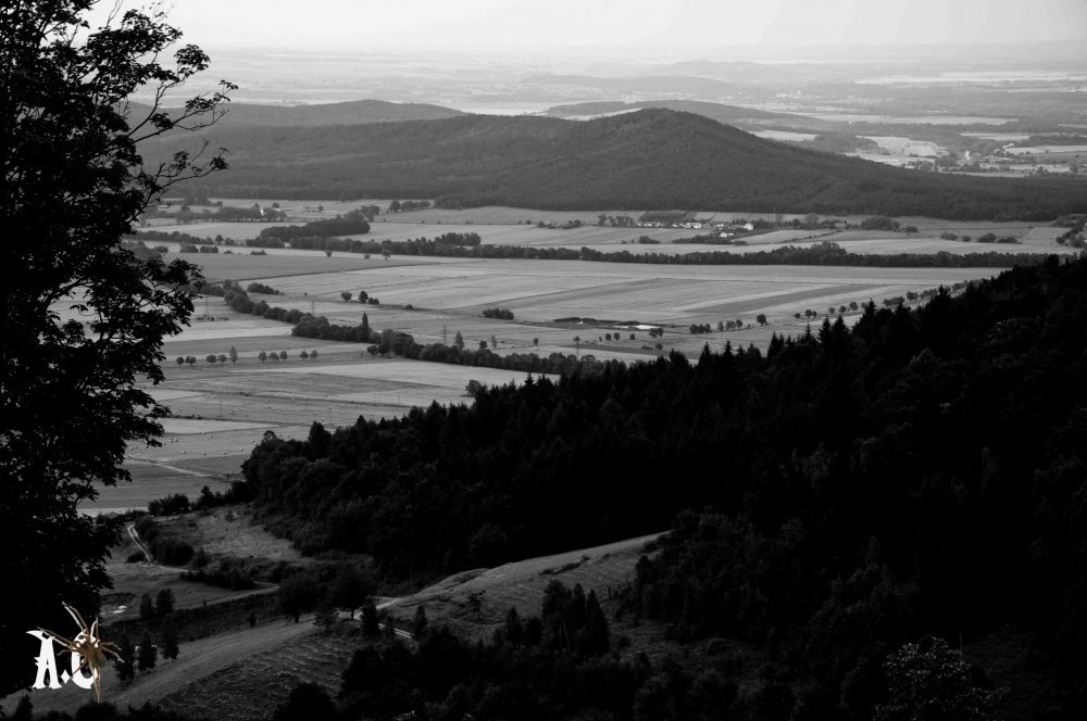 Spojrzenie w dół...