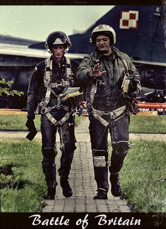 POLACY W BITWIE O GB