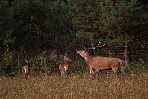 Moje...wszystkie moje