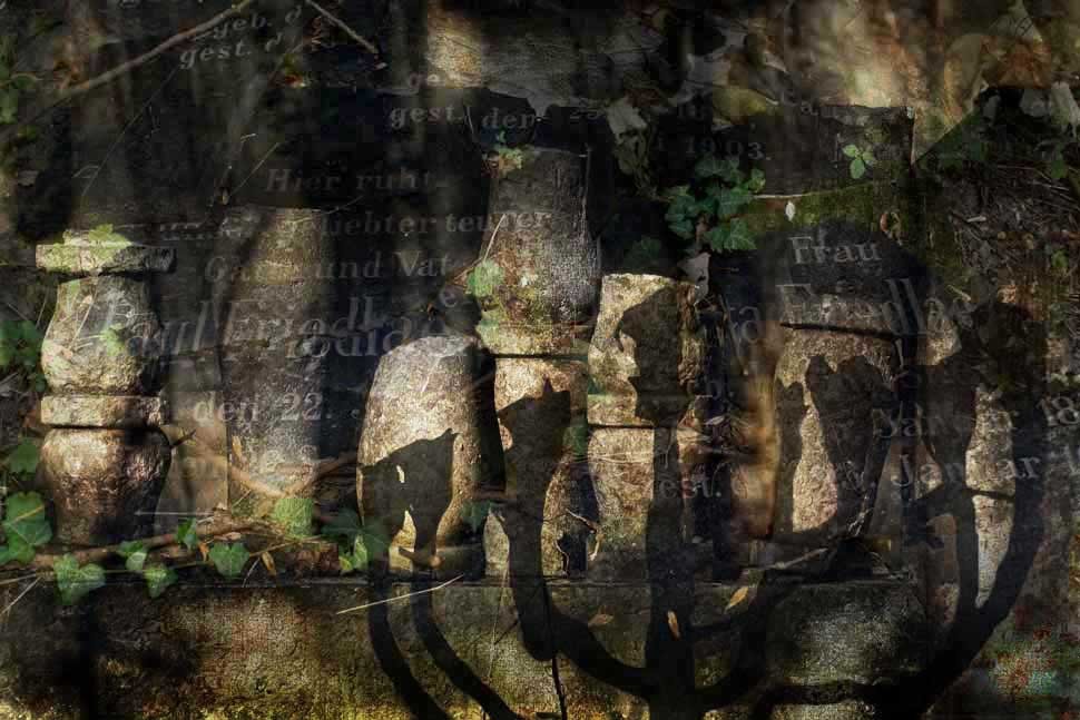 cień kamiennej menory