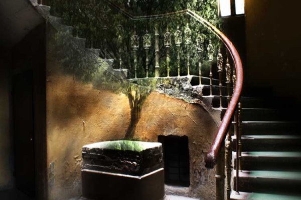 W cieniu dobrego drzewa