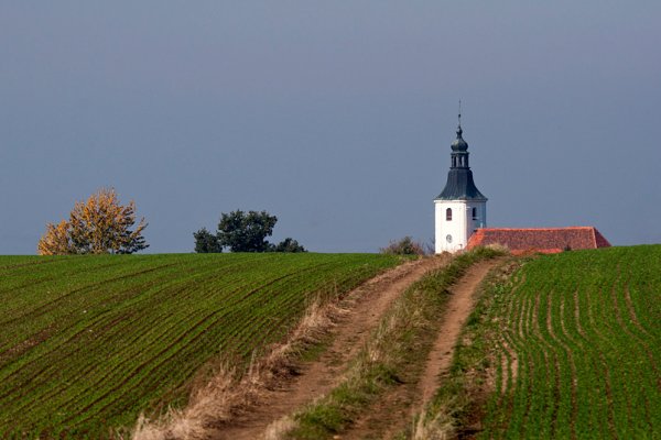 Polska nasza piękna cała