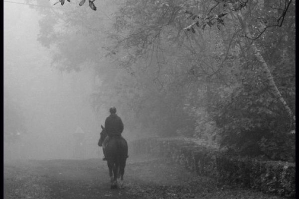...samotny jeżdziec we mgle...