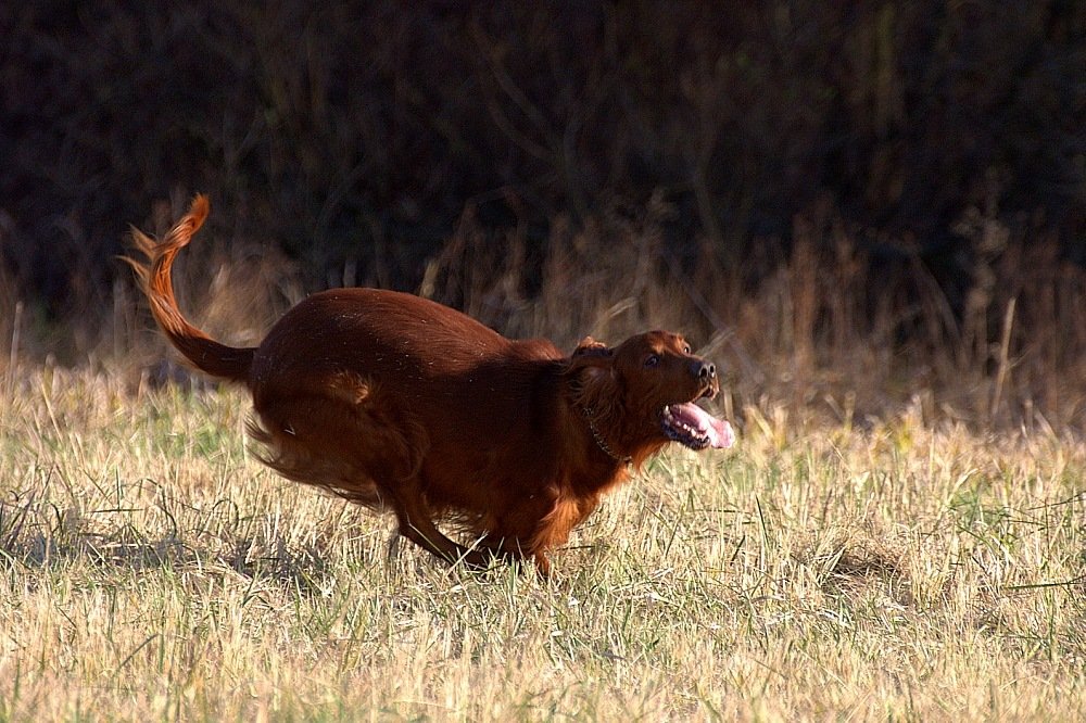 Crazy,Crazy...Crazy is my life...