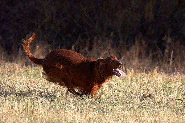 Crazy,Crazy...Crazy is my life...