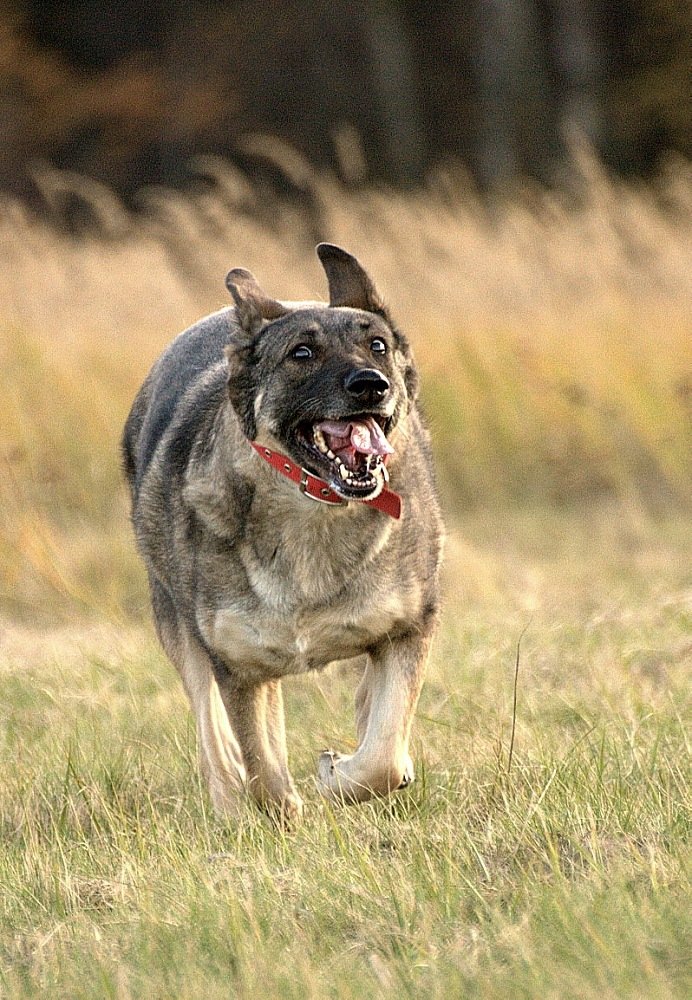 Co Ci zrobię, jak Cię złapię...