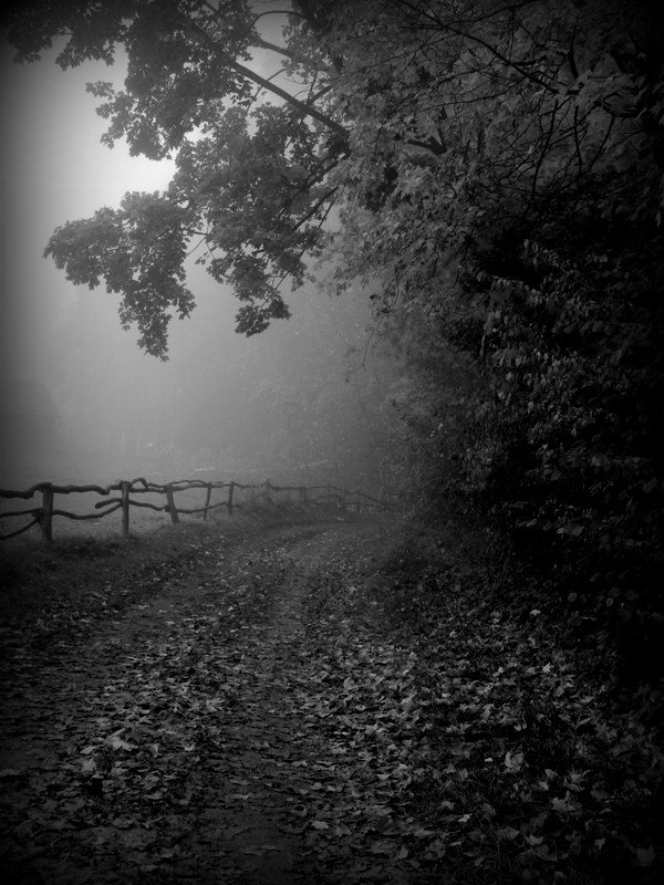 "Droga w nieznane..."