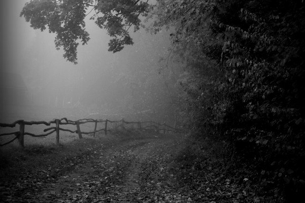 "Droga w nieznane..."