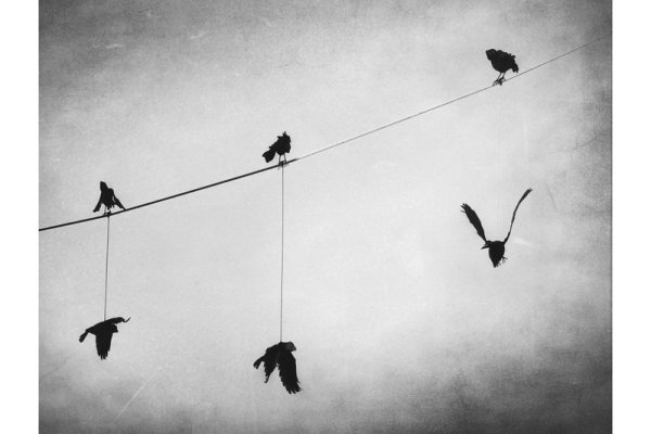 Ufam ale kontroluję