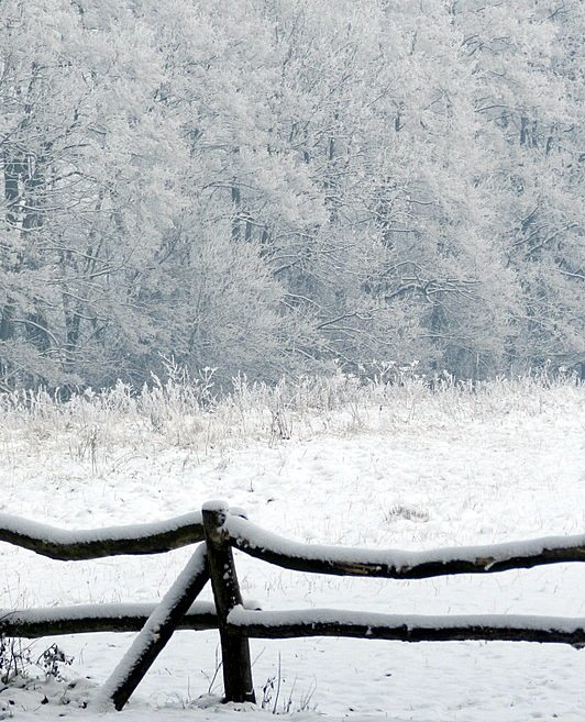 ...zima bielą malowana...2