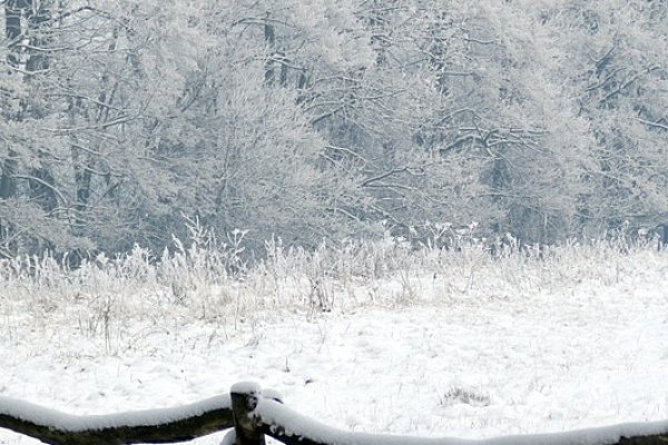 ...zima bielą malowana...2