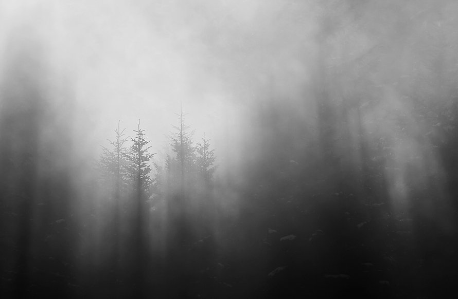 W tym teatrze aktorom nikt nie płaci