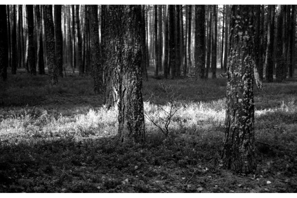 Beauty not needed here