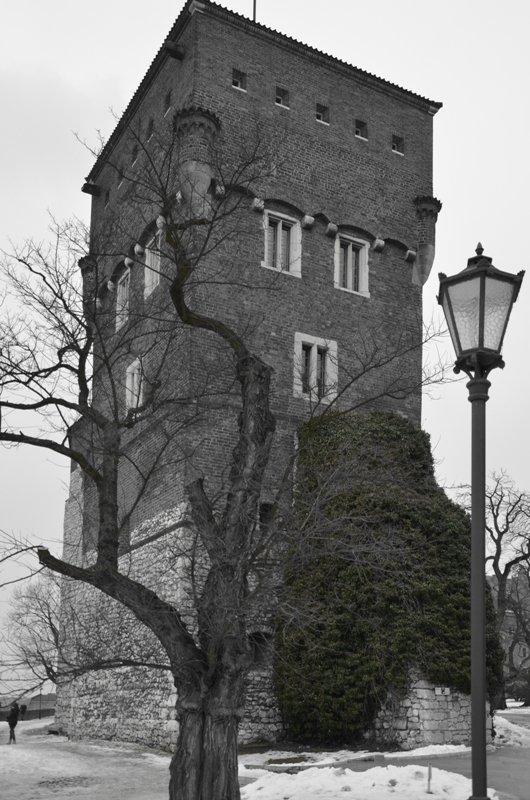 Pierwsze oznaki wiosny