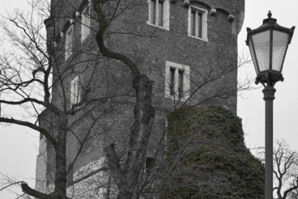 Pierwsze oznaki wiosny