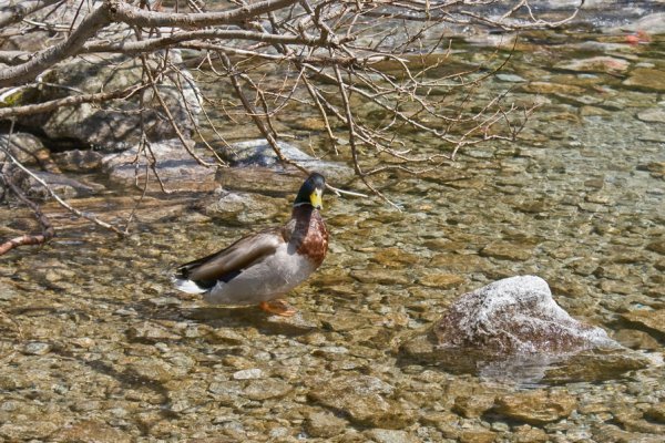 Are You talking to ME??