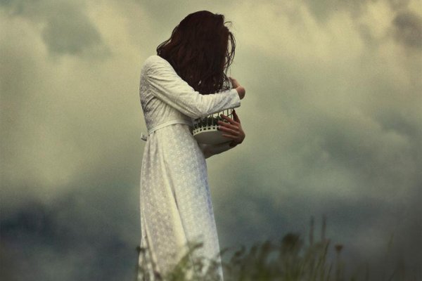 When the birds fly away