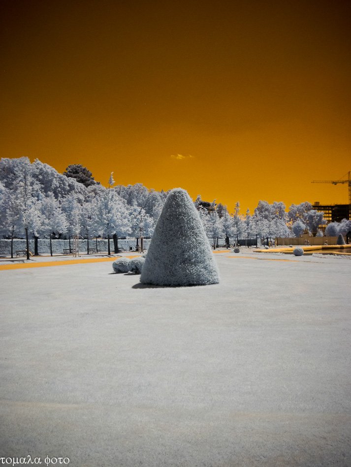 ...ogród Belwederu...