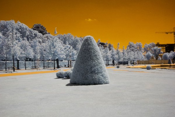 ...ogród Belwederu...