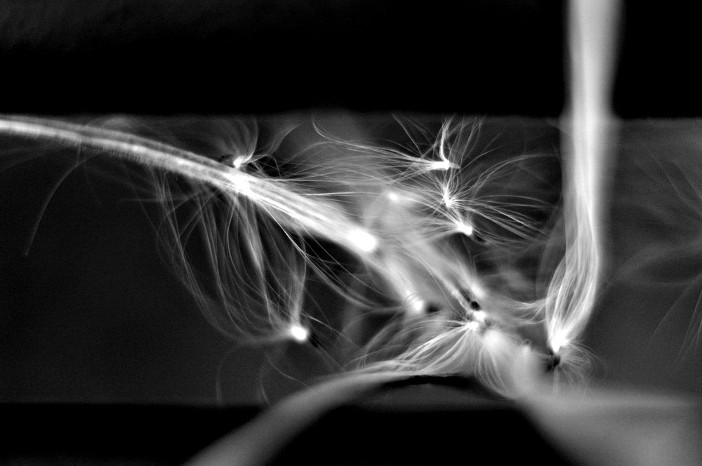 Zabawa ze światłem