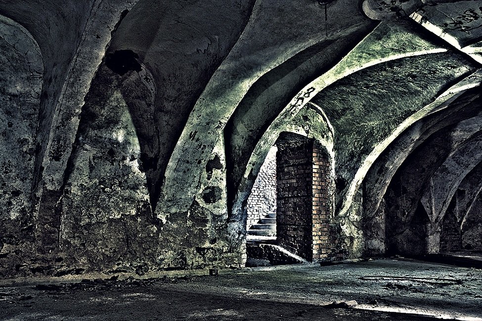 Piwnice ruin Pałacu w Łące Prudnickiej