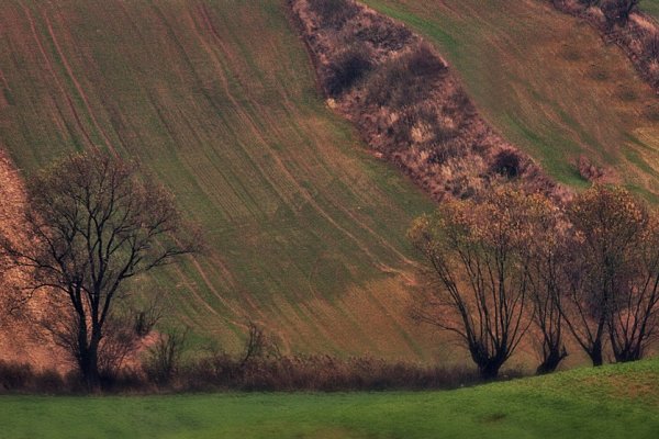 Listopad Dolny Śląsk