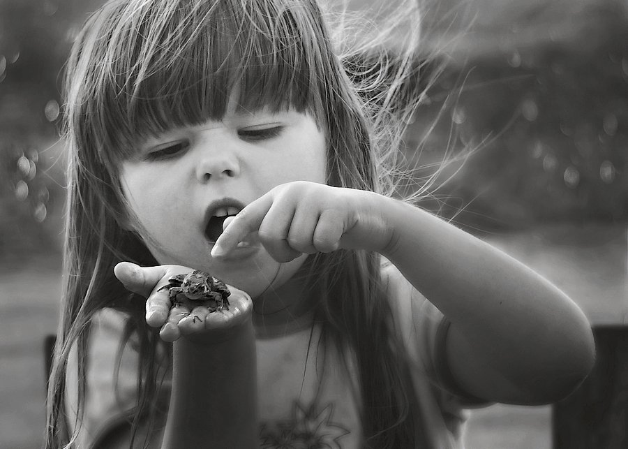 Nie jesteś Księciem !