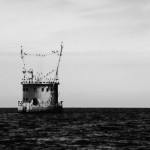 Kormorany po greifswaldzku