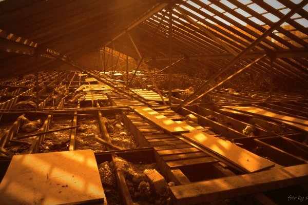 Audax - Montreuil 2014