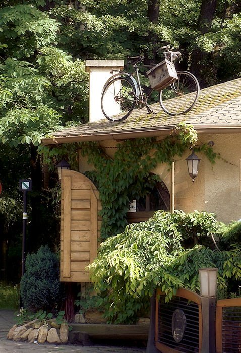 ,,amorek" Głuchołazy