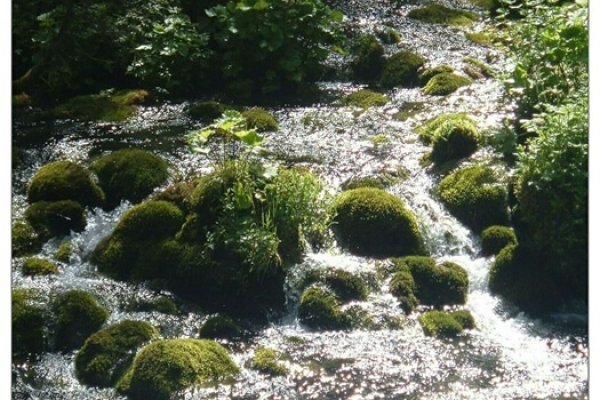 strumyk w dolinie Kościeliska