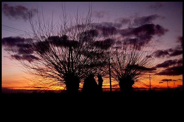 Straszydła.+zachod.