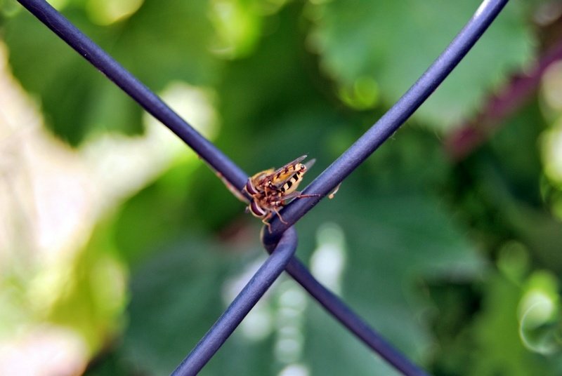 dla dorosłcyh... :P