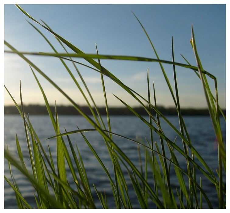 pamiętam - świeciło słońce.