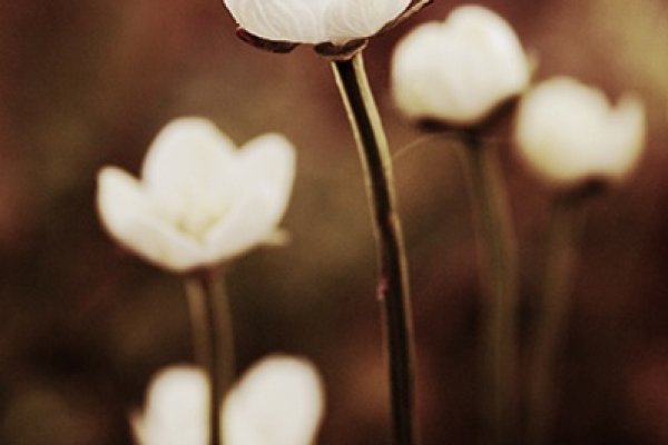 nielubiewymyslactytulow.