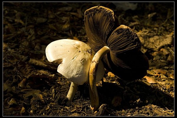 trudno tak razem zyc nam...