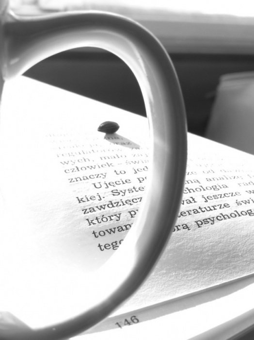 words may light a day