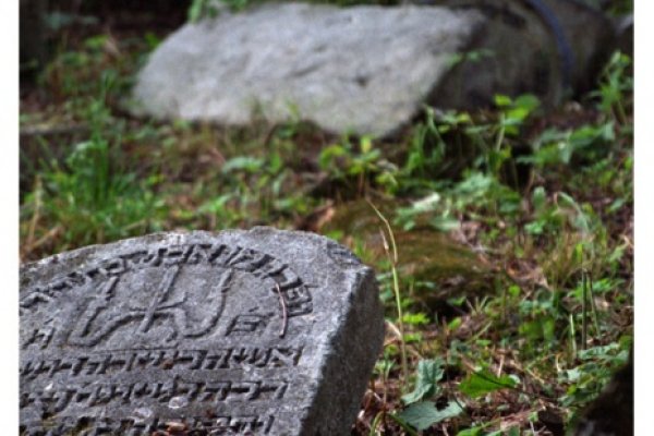 Whisper in the forest