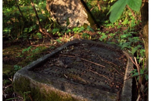 Memories in the Forest